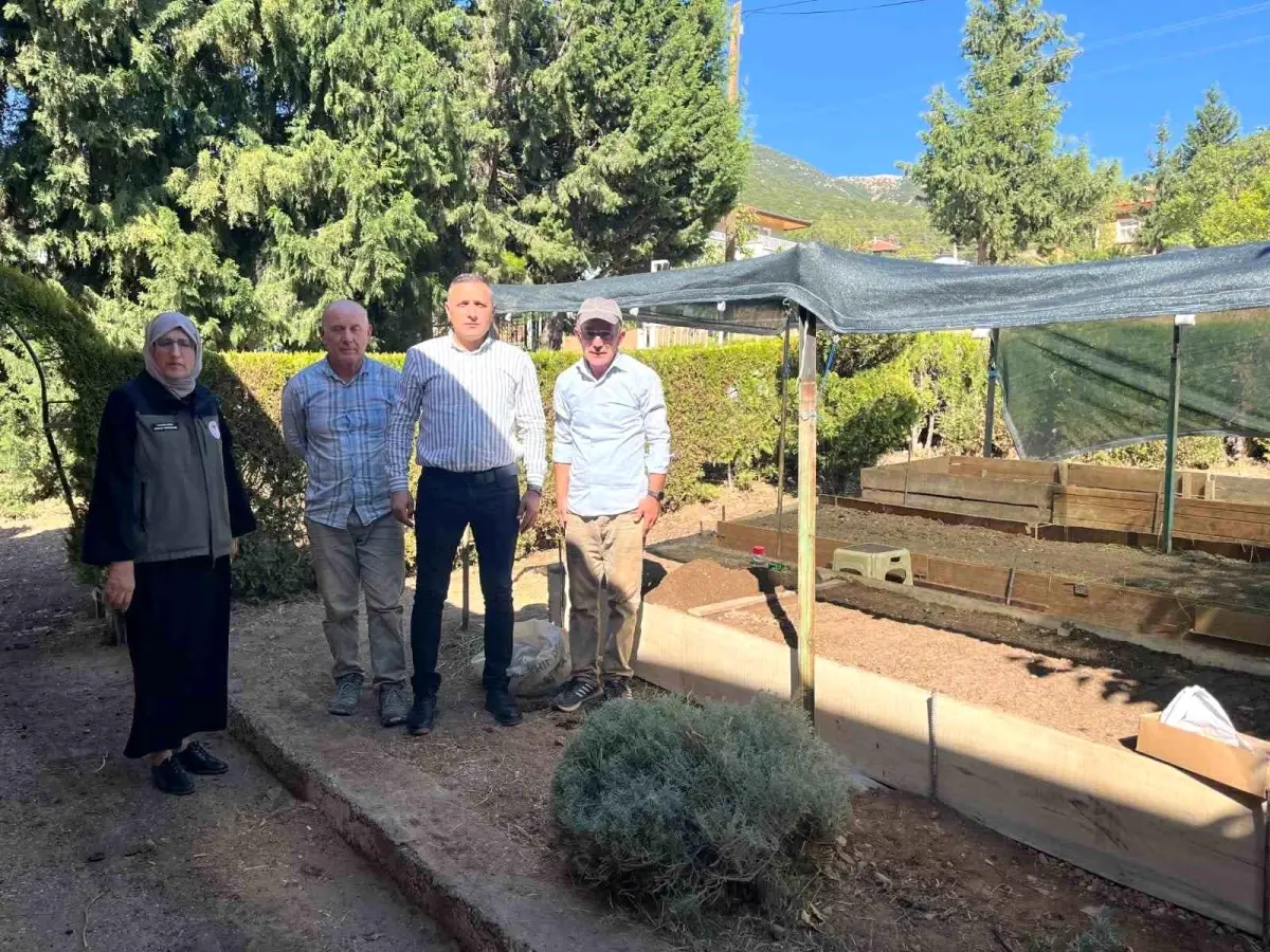 dinarda ilk salep ekimine baslandi c84A7sbU