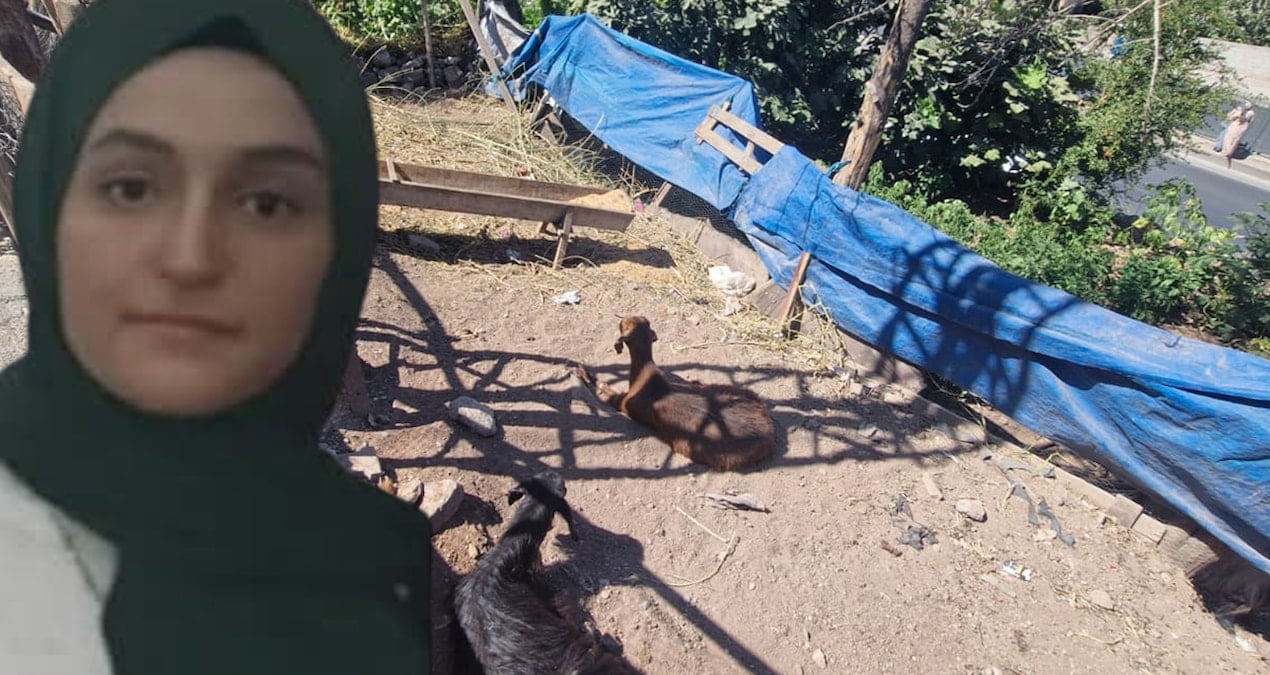 diyarbakirda kahreden olum keciye yardim etmek isterken hayatini kaybetti MFKeXbNk