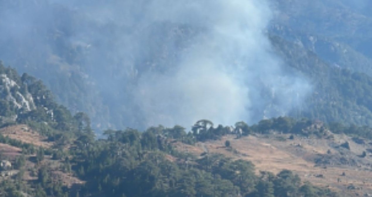 koycegizde orman yangini yfIAltKc