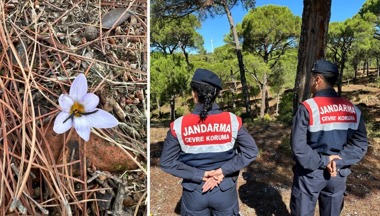 bu cicegi koparmanin cezasi 557 bin tl O5fX1HP9