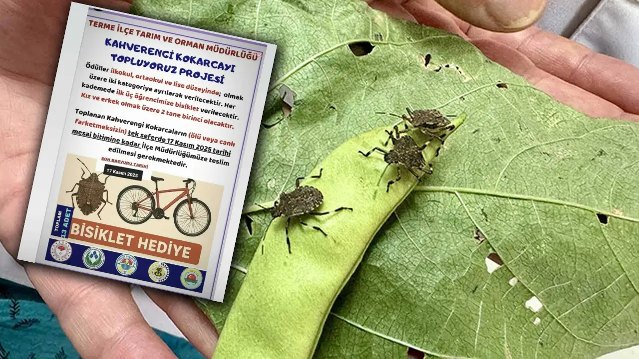 kokarca toplama projesine chpden tepki bilimle mucadele edecegimize cocuklari kullaniyoruz 1EQqaQQW.jpg