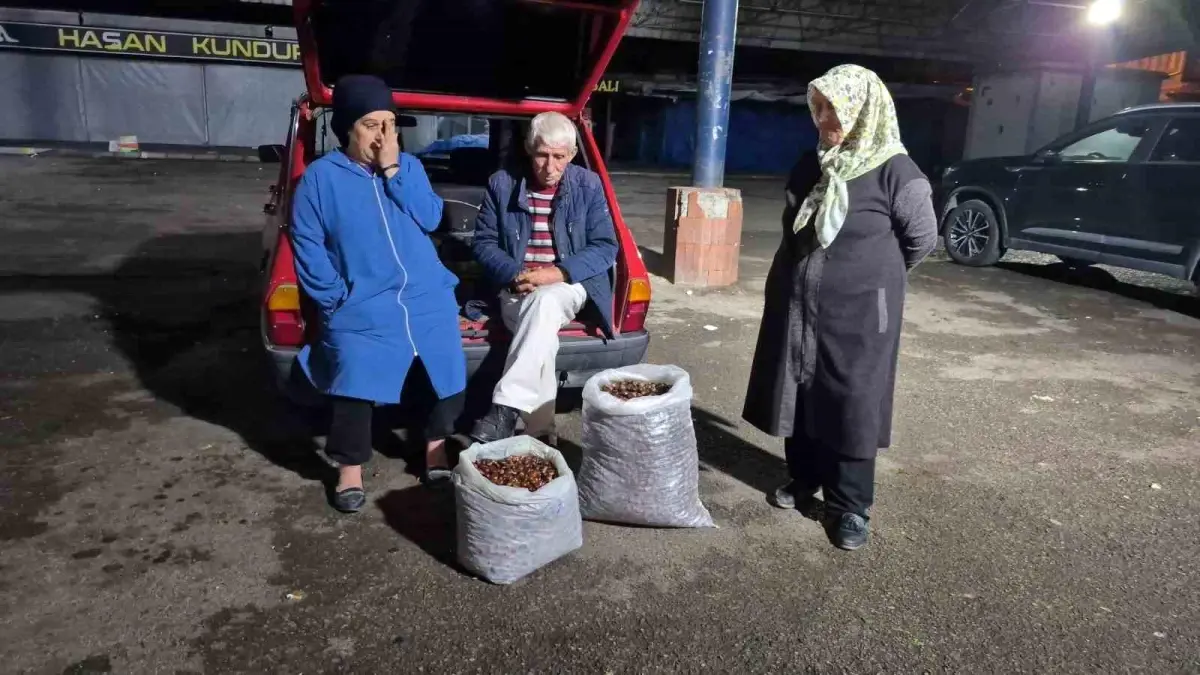 kuraklik kestane rekoltesini vurdu fiyatlar yukseliyor VpnJLaQj.jpg