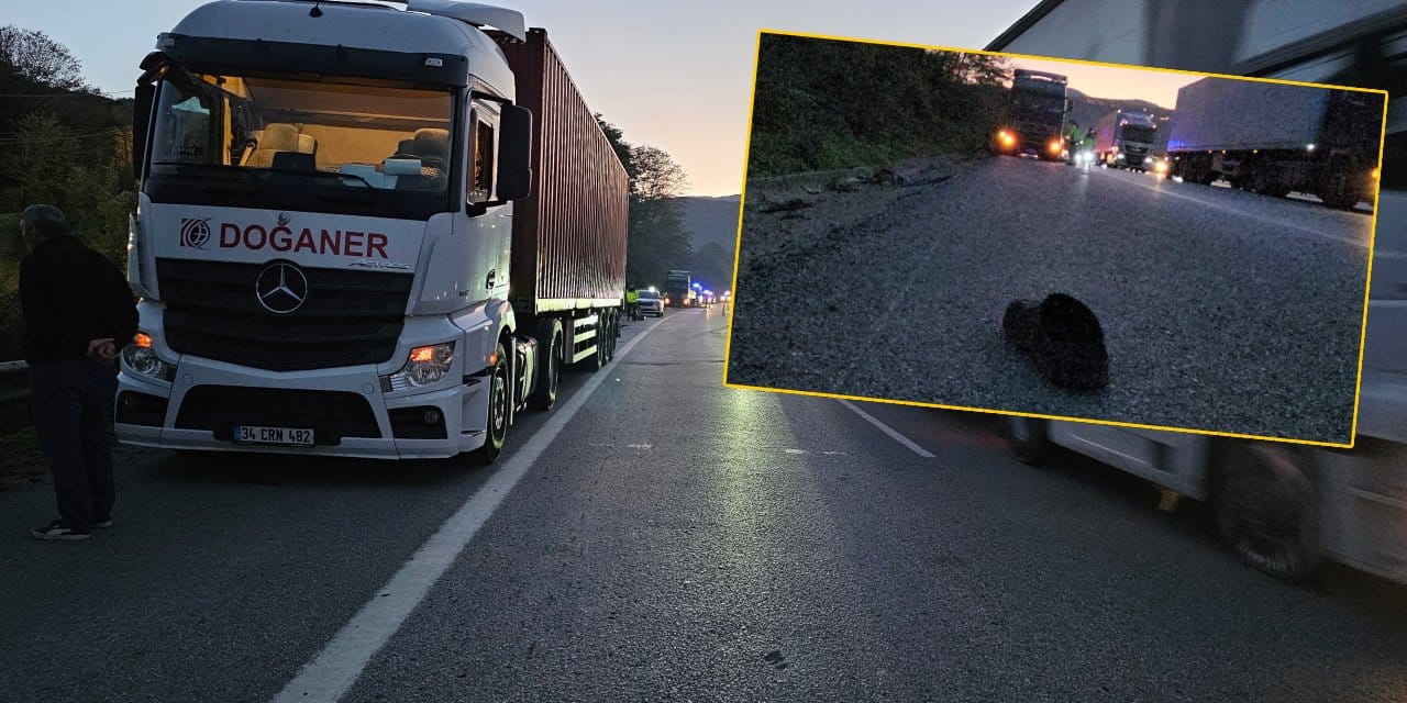 otoyolda aci olay genc surucuye lastik degistirirken tir carpti ndmSP8Uv.jpg