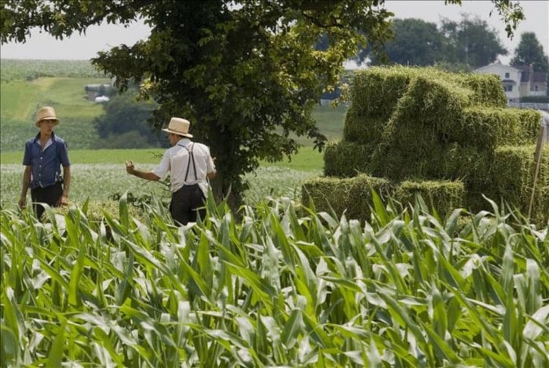 ABD Tarım Dışı Verimlilikte Yüzde 1,8’lik Artış Kaydedildi