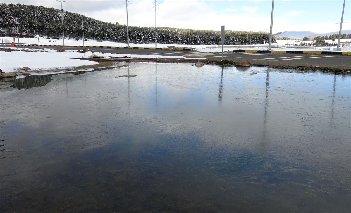 Kars ve Ardahan’da Don Olumsuz Etkiler Yarattı